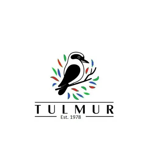 Tulmur Holdings