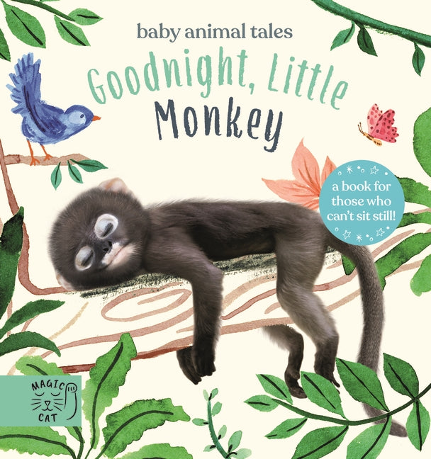 Goodnight, Little Monkey - Amanda Wood