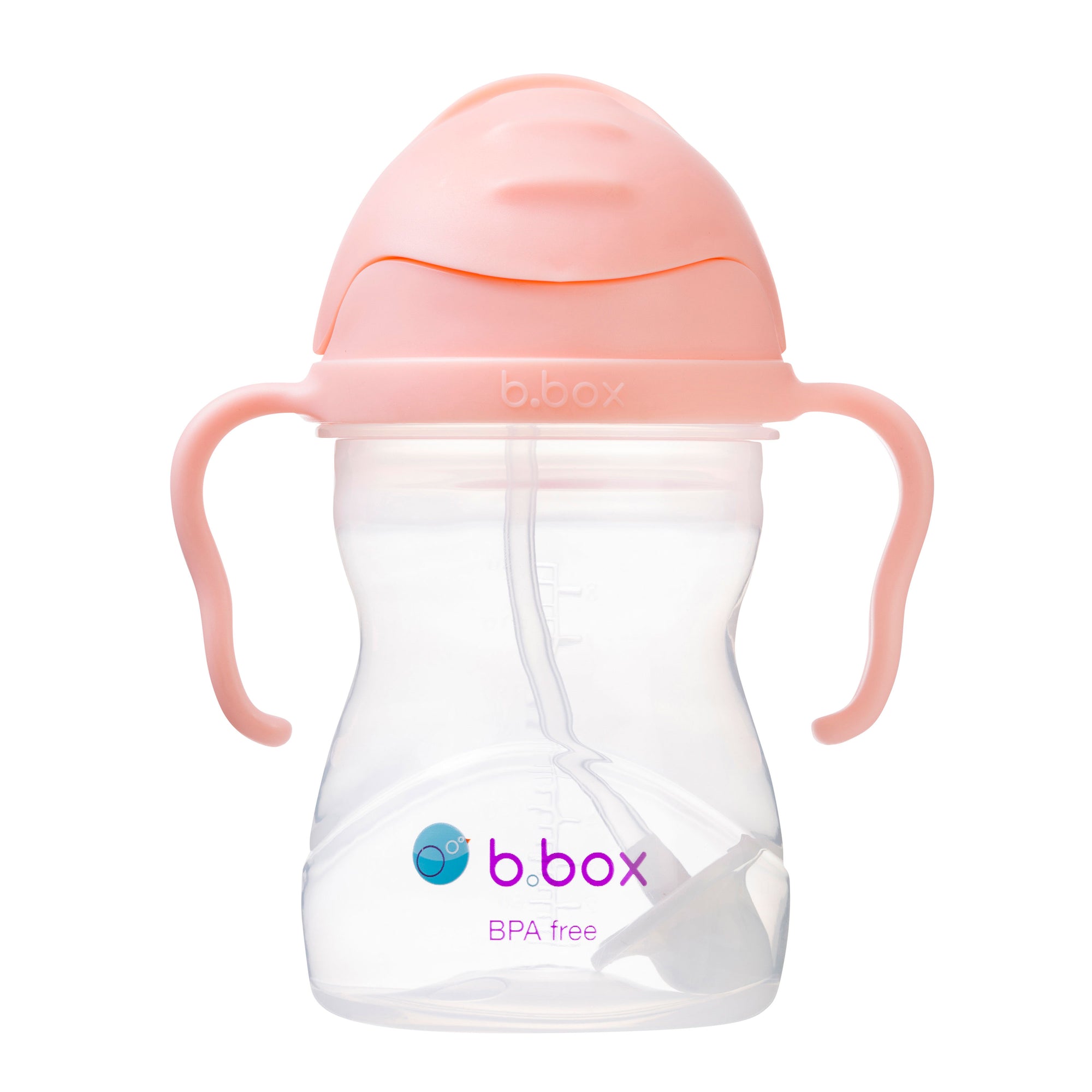 B.Box Sippy Cup - Tutti Fruitti